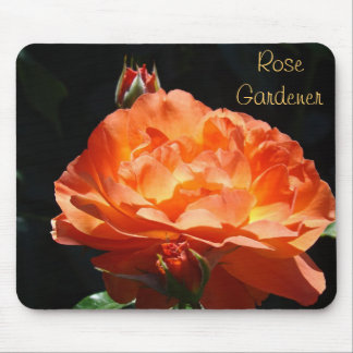 Ros trädgårdsmästare gåvor Orange Rosor musmattor 