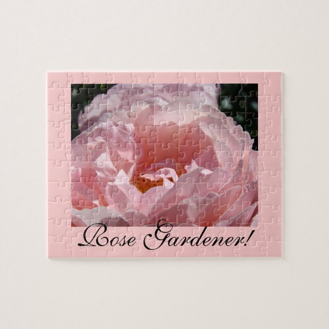 Ros Trädgårdsmästare! pussel Rosa Ros Blomster Hög (Horisontell)