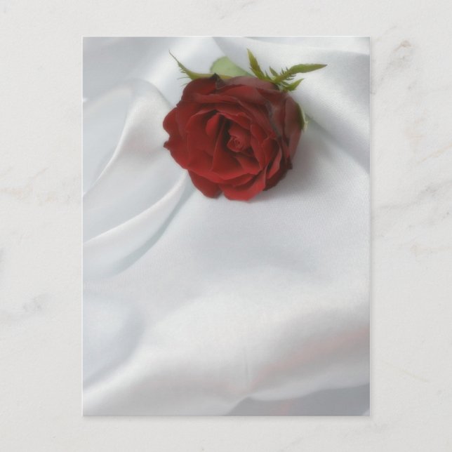 ros vykort (Framsida)