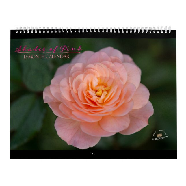Rosa 12-månaders kalender (Omslag)
