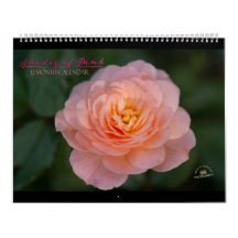 Rosa 12-månaders kalender