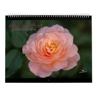 Rosa 12-månaders kalender