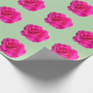 Rosa #6 presentpapper