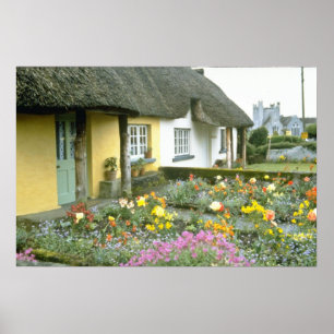 Rosa Adare, Limerick-blommor Poster