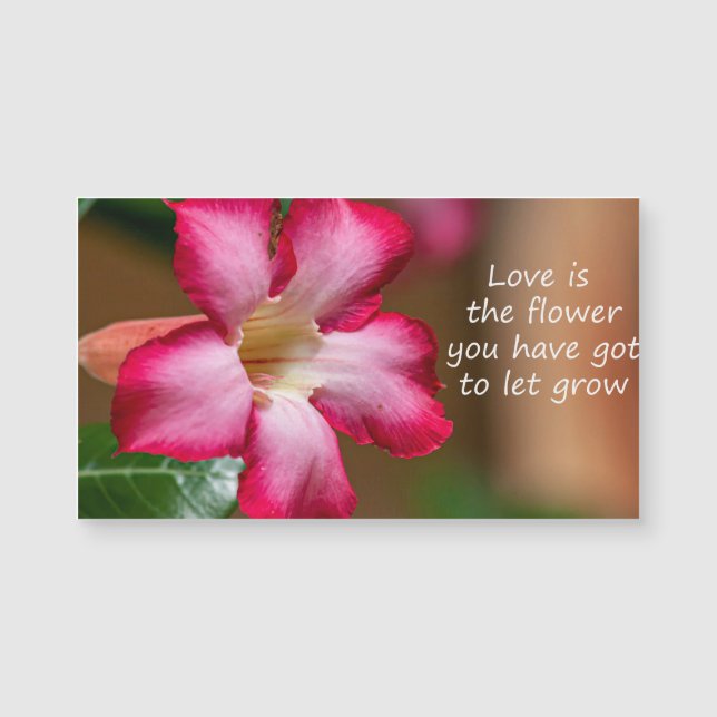 Rosa Adenium Obesum-blomma alias Desert Ro (Framsida)