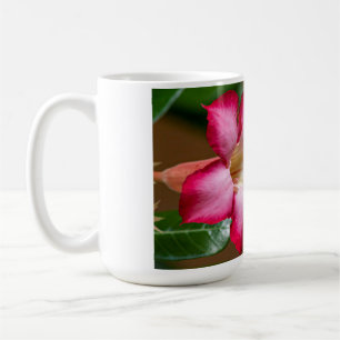 Rosa Adenium Obesum-blomma alias Desert Ro Kaffemugg