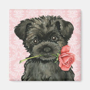 Rosa Affenpinscher för valentin Magnet