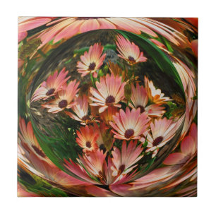 Rosa African Daisy Blommigt Abstrakt Art Kakelplatta