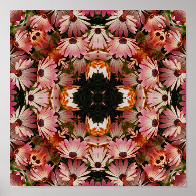 Rosa African Daisy Flowers Abstrakt Poster (Framsidan)