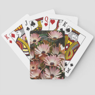 Rosa African Daisy Flowers Casinokort