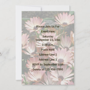 Rosa African Daisy Flowers Party Inbjudningar