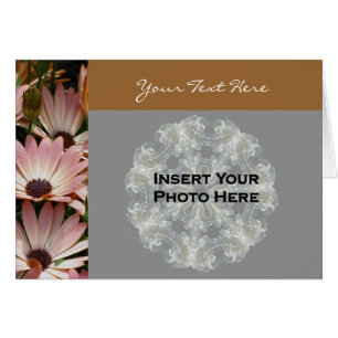 Rosa African Daisys Blommigt Photo Card Hälsningskort