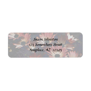 Rosa African Daisys Flower Address Label Returadress Etikett