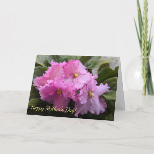 Rosa African Violes Mors dag Card Kort