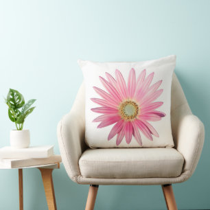 Rosa Afrikas Daisy Kudde