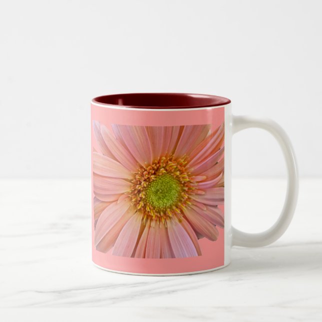 Rosa Afrikas Daisy Mugg (Höger)