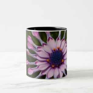 Rosa Afrikas Daisy Två-Tonad Mugg