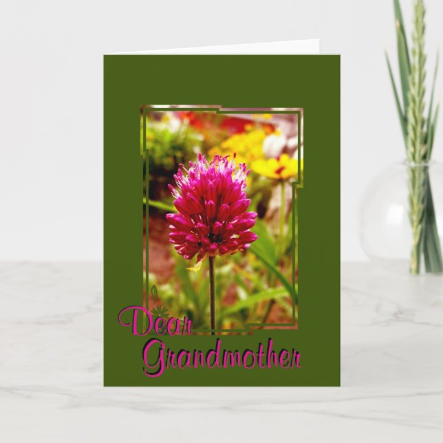 Rosa Allium Greeting Card 002 Kort (Framsida)