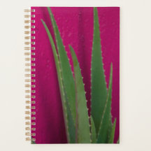 Rosa Aloe - Finkonst - Aloe Vera mot rosa