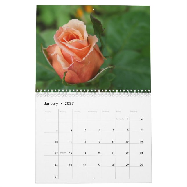Rosa älskarekalender för tacksamhet kalender (Jan 2027)