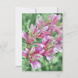 Rosa Alstroemeria Flowers Blommigt Flat Note Card Tack Kort