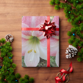 Rosa amarylis-gåva som omsluter papper presentpapper