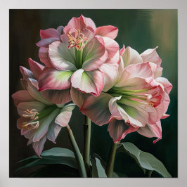 Rosa Amaryllis Blomma Konsttryck Poster