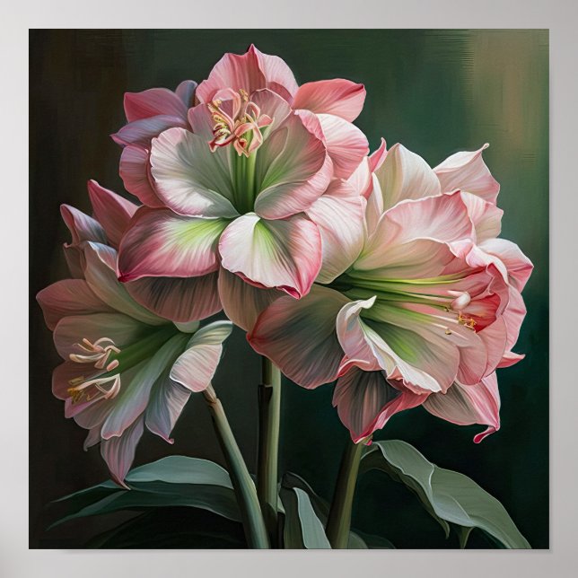 Rosa Amaryllis Blomma Konsttryck Poster (Framsidan)