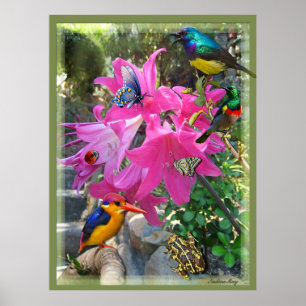 Rosa- Amaryllis & Kingfisher Poster