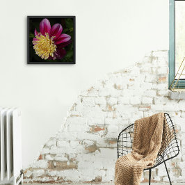 Rosa Anemone Dahlia Bloom Blommigt Fototryck