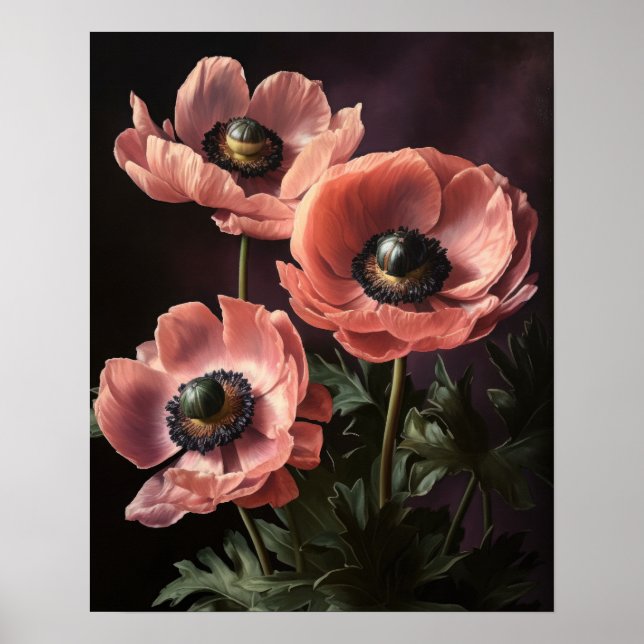 Rosa Anemone Flowers Art Print Poster (Framsidan)