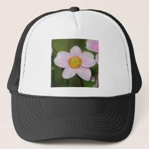 Rosa Anemone Keps