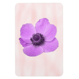 Rosa Anemone Premium Magnet