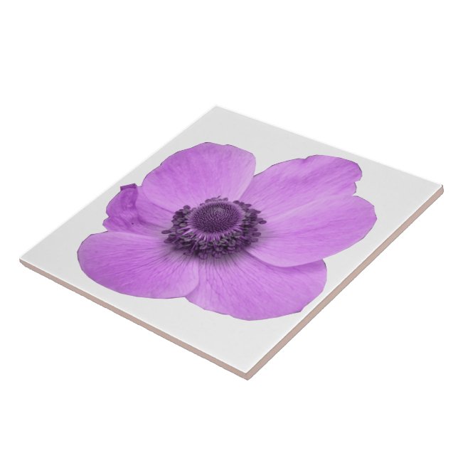 Rosa Anemone Tile Kakelplatta (Sidan)