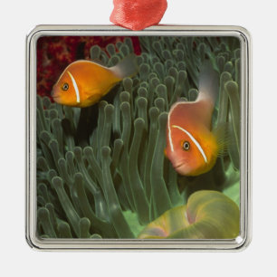 Rosa Anemonefish i Magnificant havsanemon Julgransprydnad Metall
