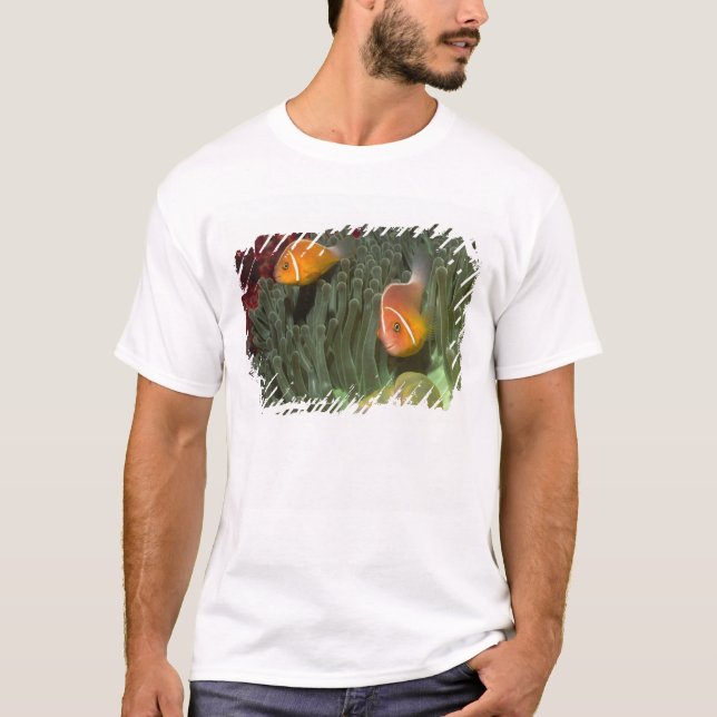 Rosa Anemonefish i Magnificant havsanemon T Shirt (Framsida)