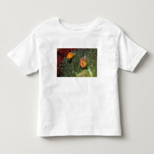 Rosa Anemonefish i Magnificant havsanemon T Shirt