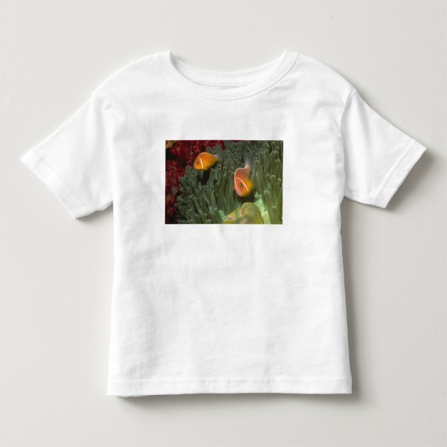 Rosa Anemonefish i Magnificant havsanemon T Shirt (Framsida)