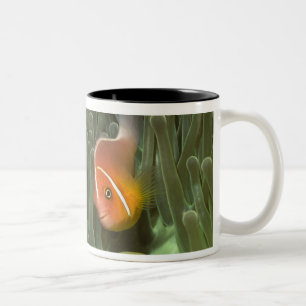 Rosa Anemonefish i Magnificant havsanemon Två-Tonad Mugg