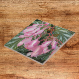 Rosa Angel Vinge Begonia Blommigt Kakelplatta