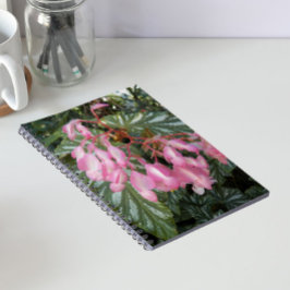 Rosa ängelvingebegonia blommar anteckningsbok