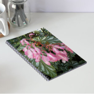 Rosa ängelvingebegonia blommar anteckningsbok
