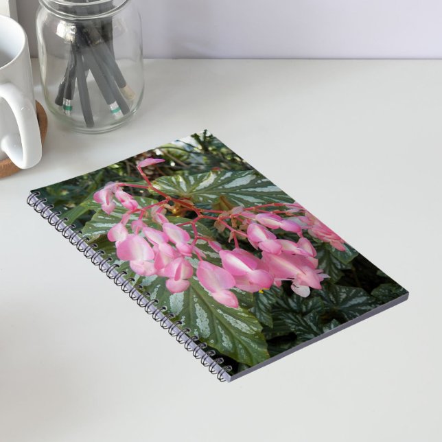 Rosa ängelvingebegonia blommar anteckningsbok (In Situ)