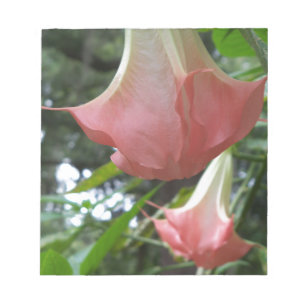 Rosa Änglar trumpetblommor Anteckningsblock