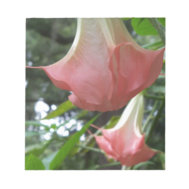 Rosa Änglar trumpetblommor Anteckningsblock (Framsida)