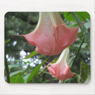 Rosa Änglar trumpetblommor Musmatta