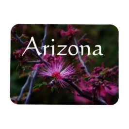 rosa ängsblommssnurror magnet, Arizona Magnet
