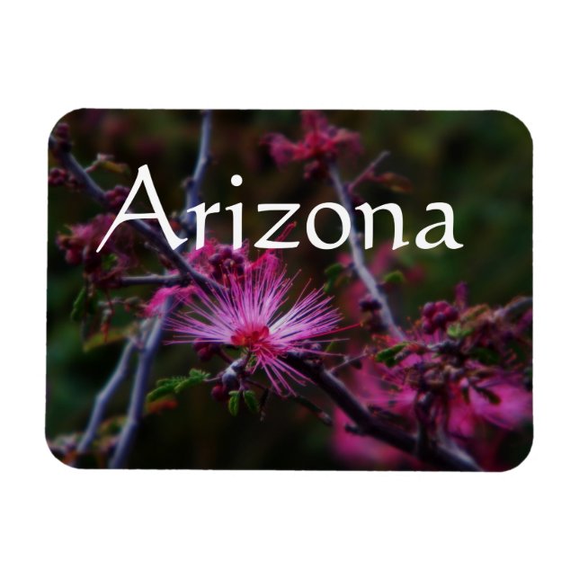 rosa ängsblommssnurror magnet, Arizona Magnet (Horisontell)
