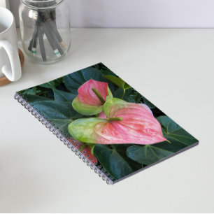 Rosa Anthurium Blommor Blomster Anteckningsbok
