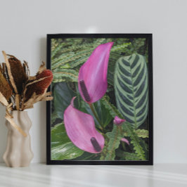 Rosa Anthurium-blommor och lövrik bladverk Poster